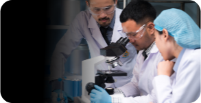 Life sciences
focused
